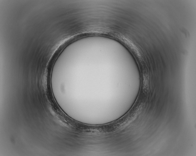 X0000112050580200908251001