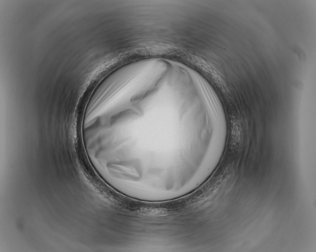 X0000112050582200908251001