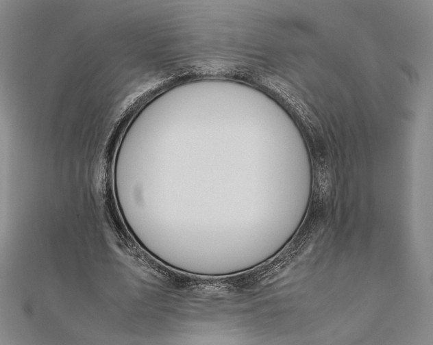 X0000112050583200908251001