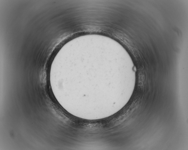 X0000112050584200908251001