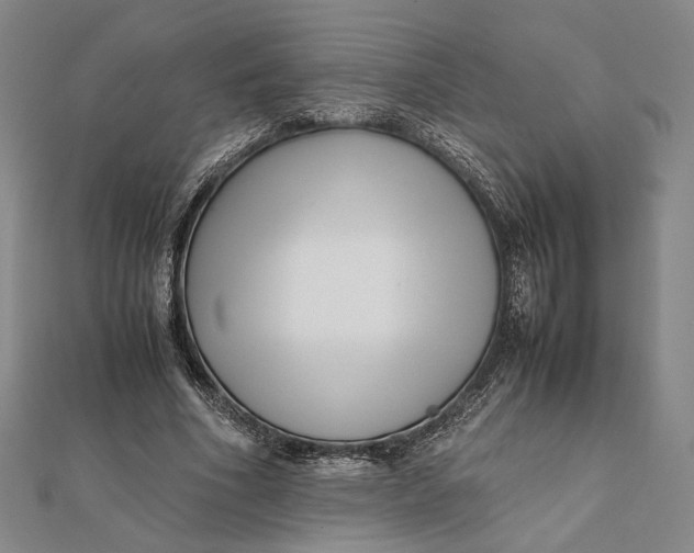 X0000112050586200908251001