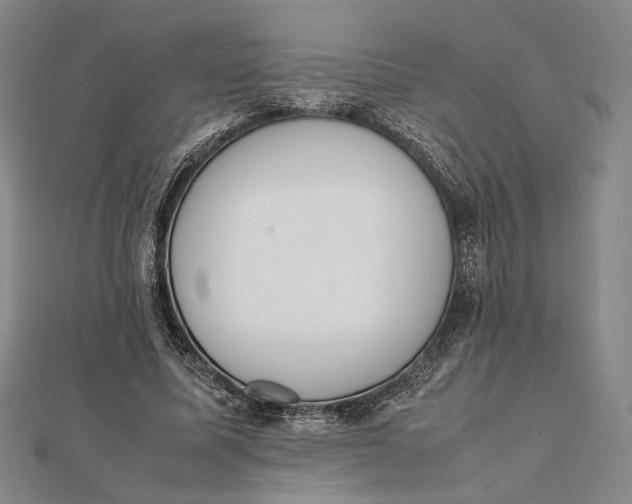 X0000112050587200908251001