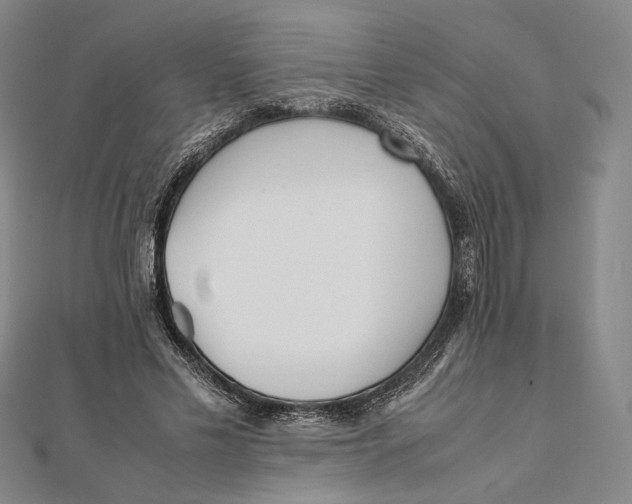 X0000112050589200908251000