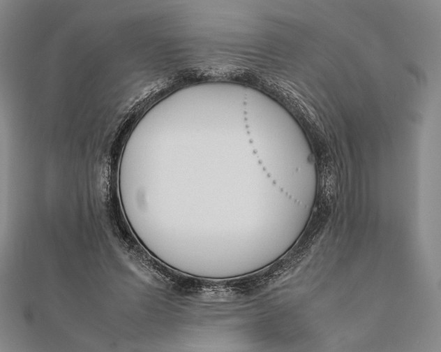 X0000112050591200908251000