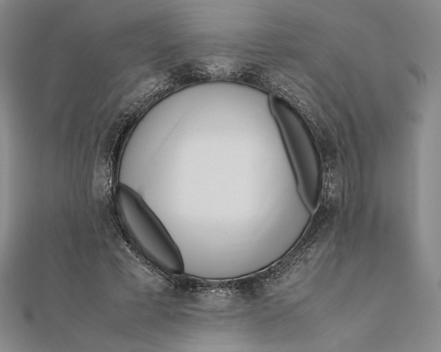 X0000112050593200908251000