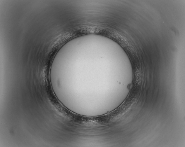 X0000112050594200908251000