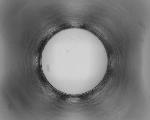 X0000112050595200908251000