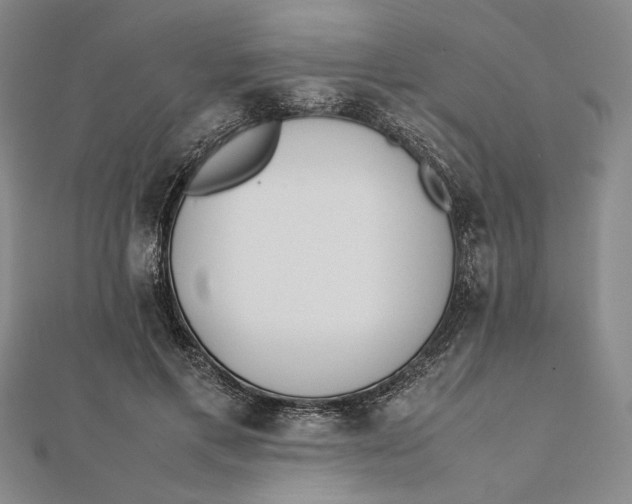 X0000112050597200908251000