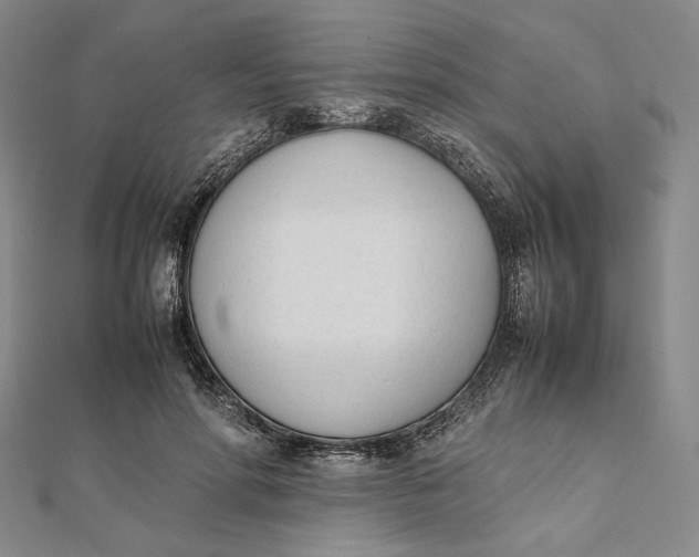 X0000112050598200908251000