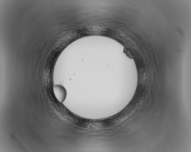 X0000112050599200908251000