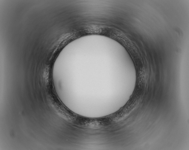 X0000112050600200908251000