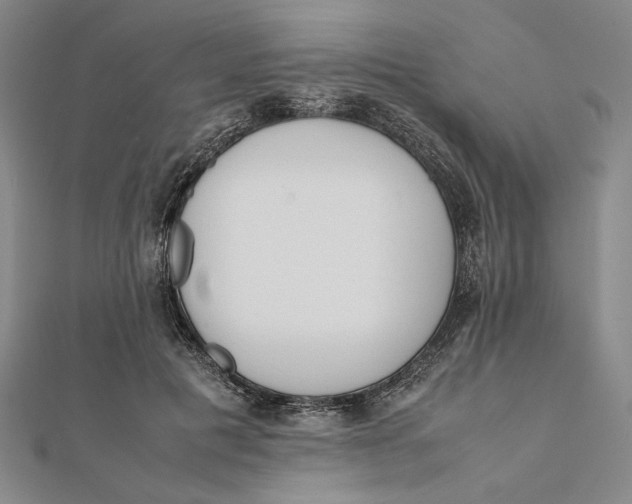 X0000112050601200908251000