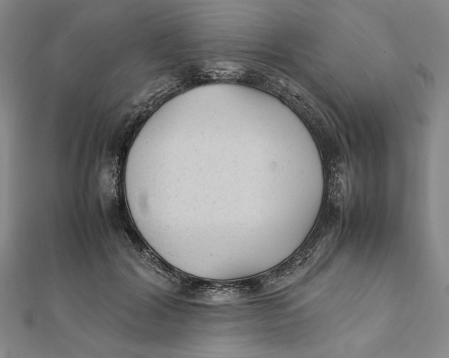 X0000112050604200908251000