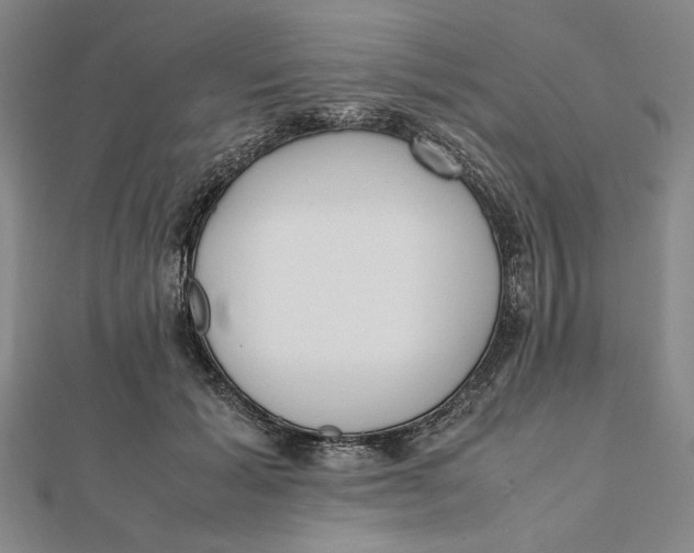 X0000112050605200908251000