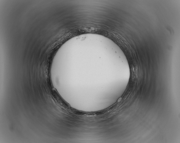 X0000112050606200908251000