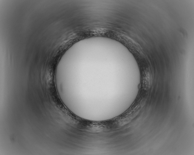 X0000112050608200908251000