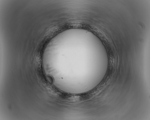 X0000112050609200908251000