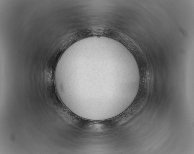 X0000112050610200908251000