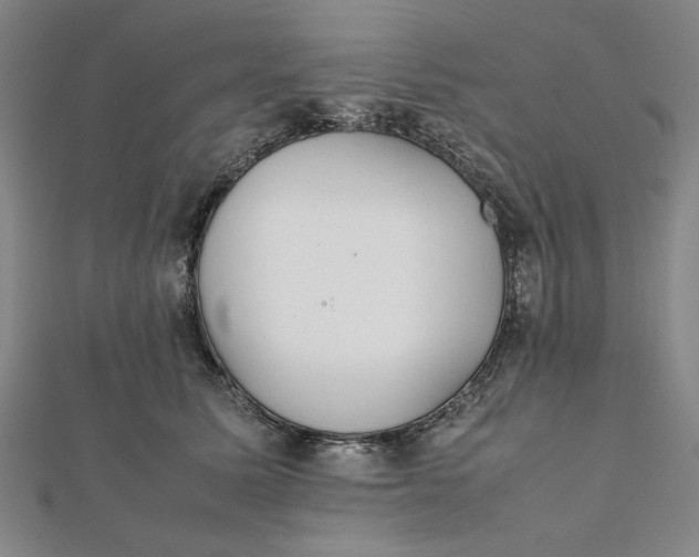 X0000112050611200908251000