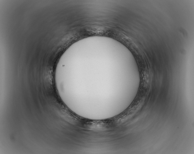 X0000112050612200908251000