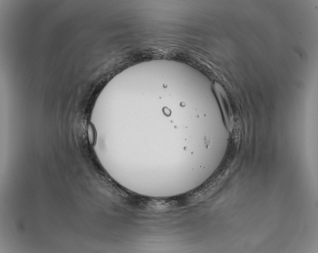 X0000112050613200908251000