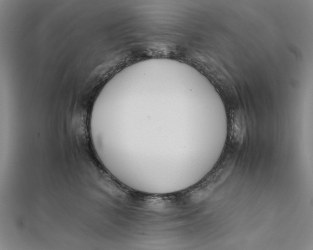 X0000112050616200908251000