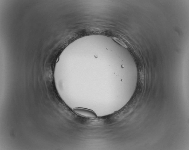 X0000112050617200908251000