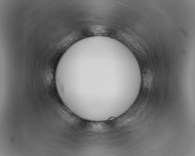 X0000112050618200908251000