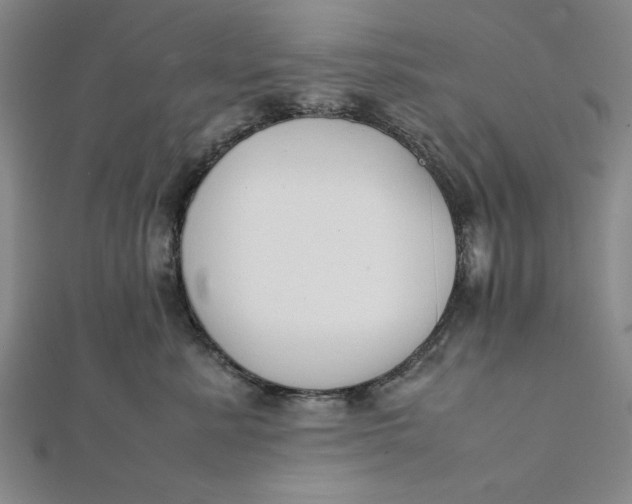 X0000112050619200908251000