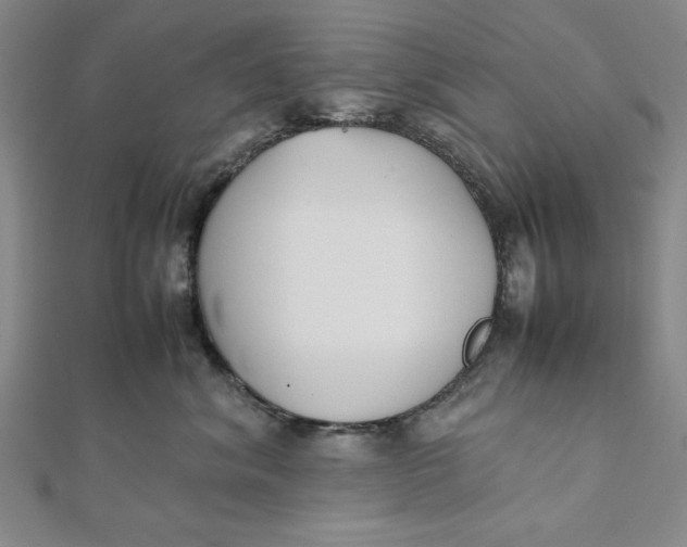 X0000112050620200908251000