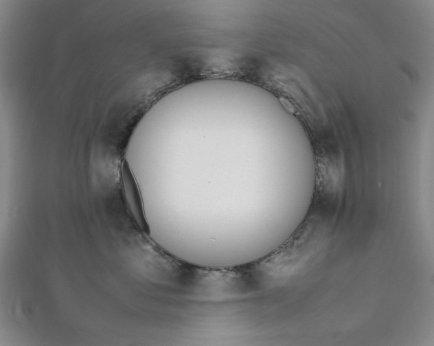 X0000112050621200908251000