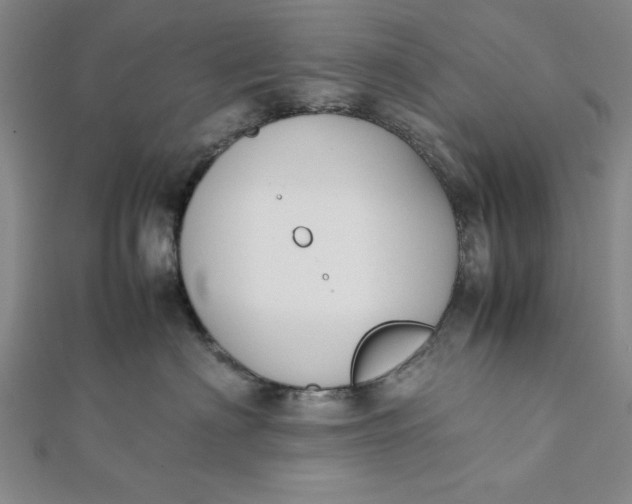 X0000112050622200908251000