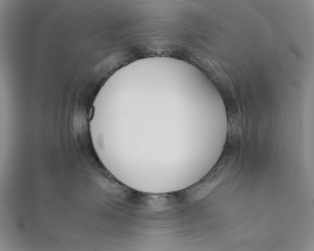 X0000112050623200908251000