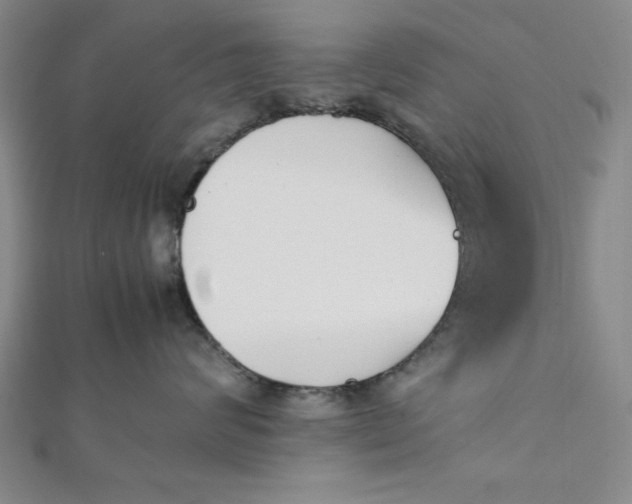 X0000112050624200908251000