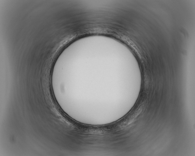 X0000112050625200908250959