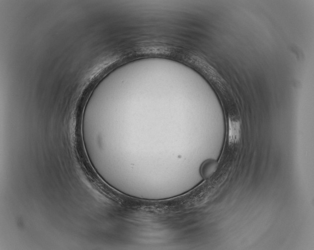 X0000112050627200908250959