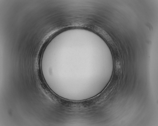 X0000112050628200908250959