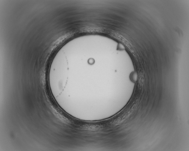 X0000112050629200908250959