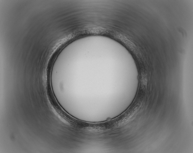 X0000112050630200908250959