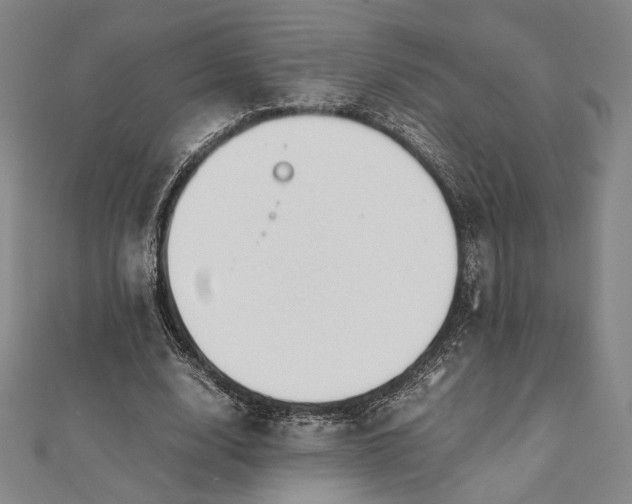 X0000112050632200908250959