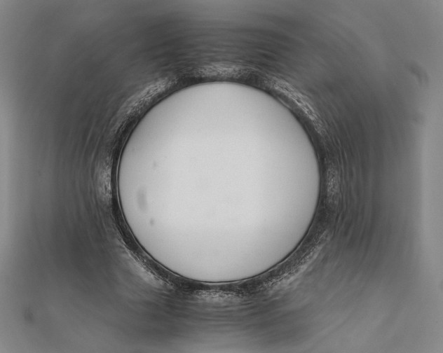 X0000112050633200908250959