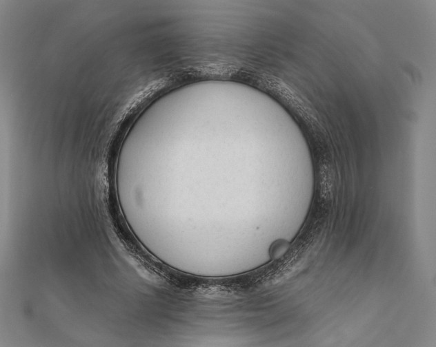 X0000112050634200908250959