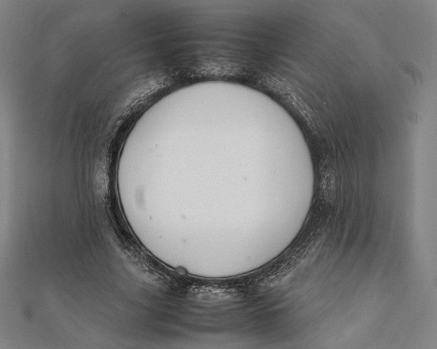 X0000112050635200908250959