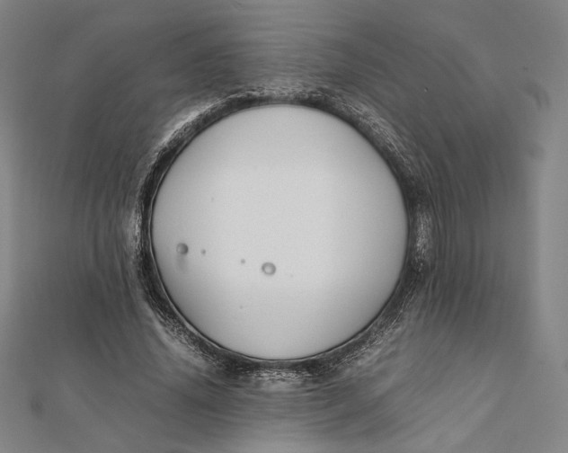 X0000112050636200908250959