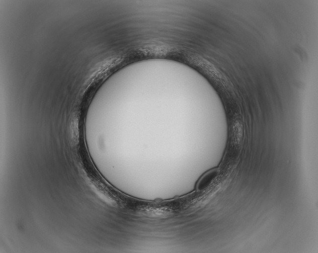 X0000112050638200908250959