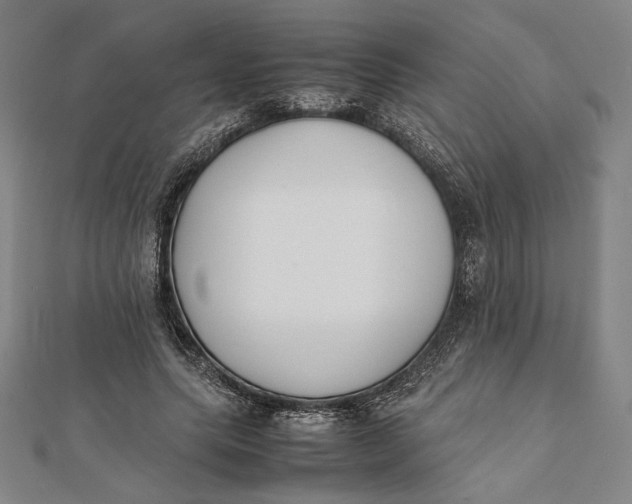 X0000112050639200908250959