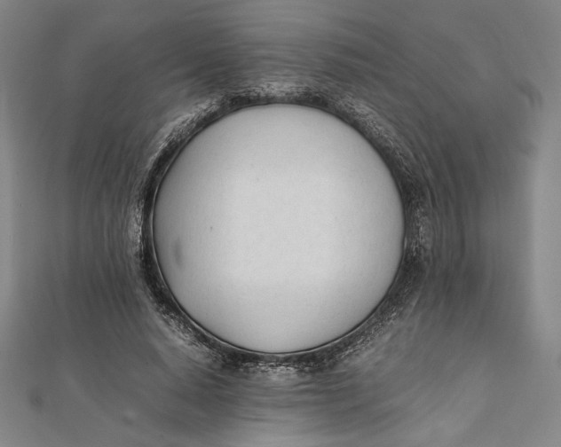 X0000112050640200908250959