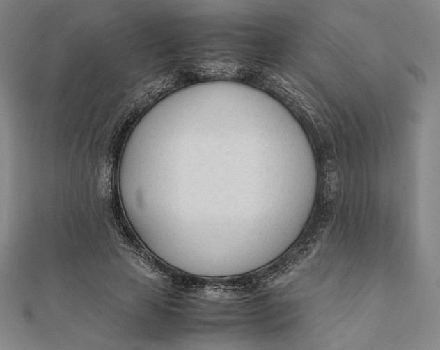 X0000112050641200908250959