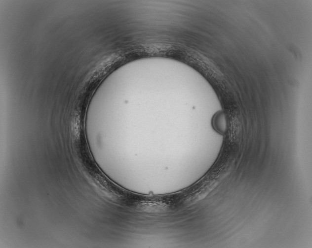 X0000112050644200908250959