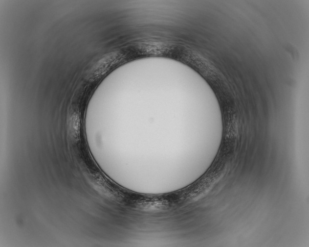 X0000112050646200908250959